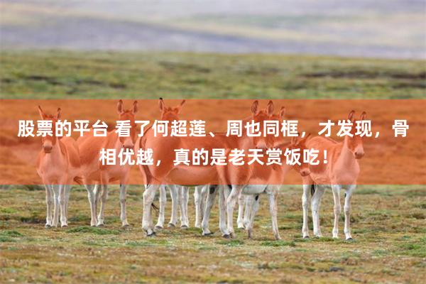 股票的平台 看了何超莲、周也同框，才发现，骨相优越，真的是老天赏饭吃！