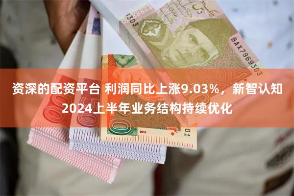 资深的配资平台 利润同比上涨9.03%，新智认知2024上半年业务结构持续优化
