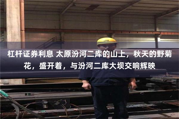 杠杆证券利息 太原汾河二库的山上，秋天的野菊花，盛开着，与汾河二库大坝交响辉映