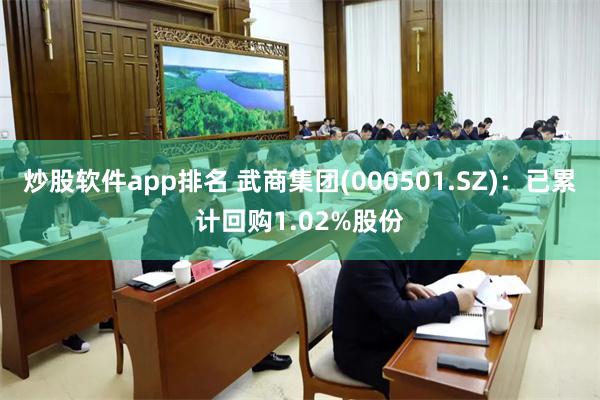 炒股软件app排名 武商集团(000501.SZ)：已累计回购1.02%股份