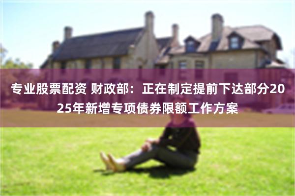 专业股票配资 财政部：正在制定提前下达部分2025年新增专项债券限额工作方案