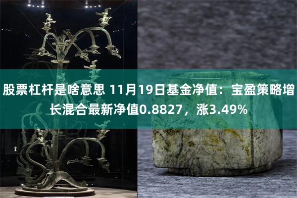 股票杠杆是啥意思 11月19日基金净值：宝盈策略增长混合最新净值0.8827，涨3.49%