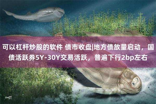 可以杠杆炒股的软件 债市收盘|地方债放量启动，国债活跃券5Y-30Y交易活跃，普遍下行2bp左右
