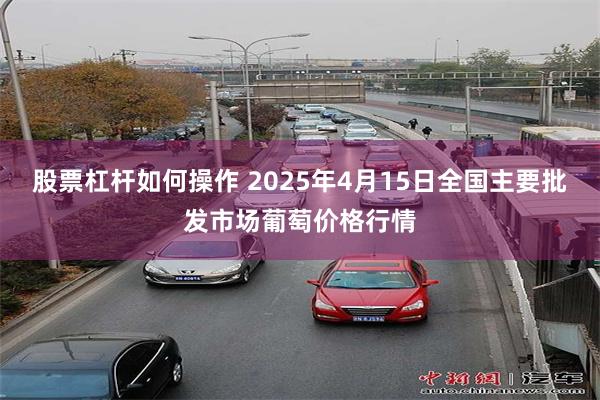 股票杠杆如何操作 2025年4月15日全国主要批发市场葡萄价格行情