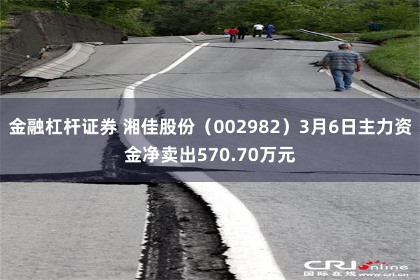 金融杠杆证券 湘佳股份（002982）3月6日主力资金净卖出