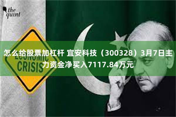 怎么给股票加杠杆 宜安科技（300328）3月7日主力资金净