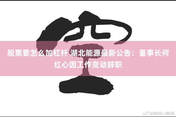 股票要怎么加杠杆 湖北能源最新公告：董事长何红心因工作变动辞