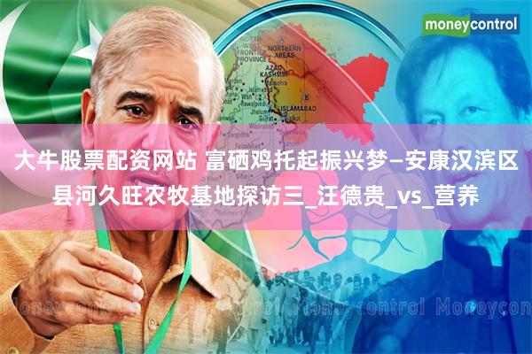 大牛股票配资网站 富硒鸡托起振兴梦—安康汉滨区县河久旺农牧基