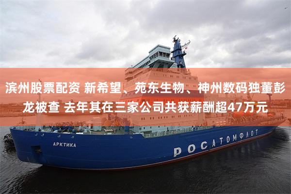 滨州股票配资 新希望、苑东生物、神州数码独董彭龙被查 去年其
