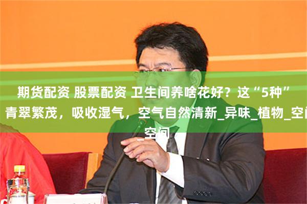 期货配资 股票配资 卫生间养啥花好？这“5种”，青翠繁茂，吸